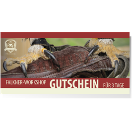 Gutschein Falkner-Workshop für 3 Tage