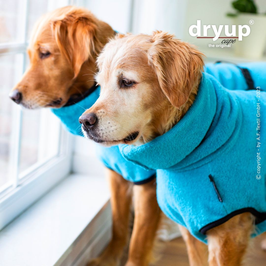 dryup cape - Cyan