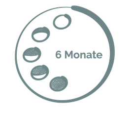 6 Monate