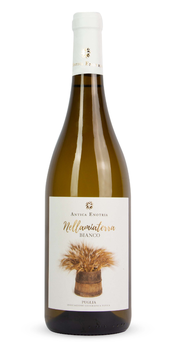 Bianco Puglia IGT 2024 - Antica Enotria