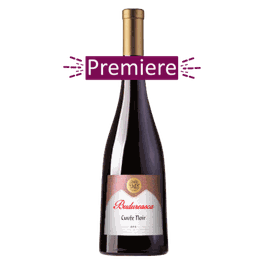 Budureasca Cuvee Noir (CABERNET SAUVIGNON, NEGRU DRAGASANI) 2025