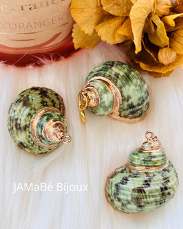 CHARM'S GREEN SHELL