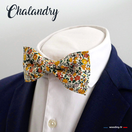 Noeud papillon jaune "Chalandry"