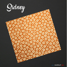 Pochette de costume "Sidney"