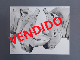 LUCHA DE RINOCERONTES