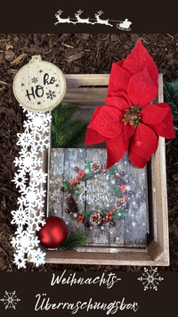 5 Leuchtturm-Tuch Adventsboxen