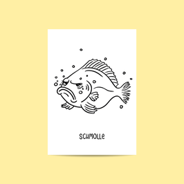 Schmolle