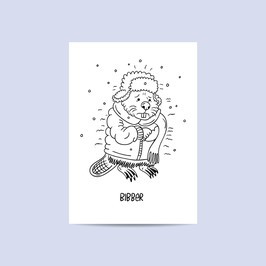 Bibber