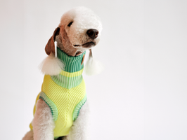 THE GLOW JUMPER (gelb) lumiies®