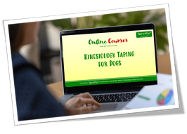 Online Course - Canine Kinesiology Taping (Doggie-Zen)