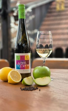 Grüner Veltliner Stein DAC 2025