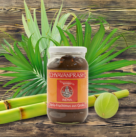 Chyavanprash - Amla Kraftmus - Powerfood