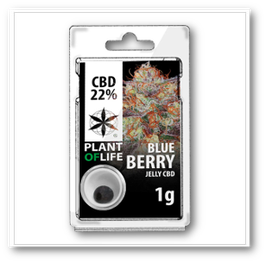 The Plant of Life - Blueberry 22% CBD