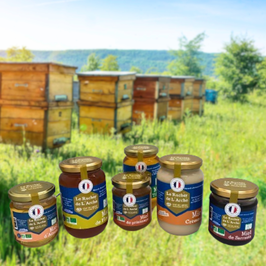Miel "Le Rucher de L'Arche"  / 1 pot de 250g