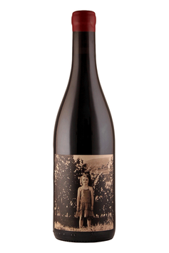 2023 Pinot Noir