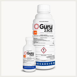 GURU CE 2.5