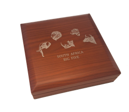 Münzbox für Big Five South Africa 5 x 1 Oz Silbermünzen