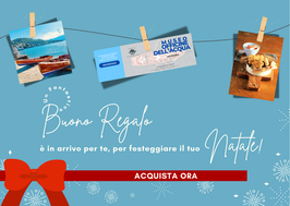 Pacchetto di Natale