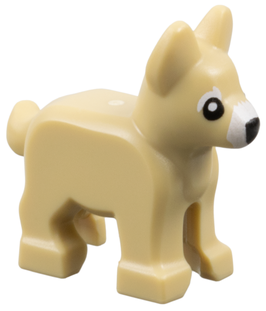 Puppy