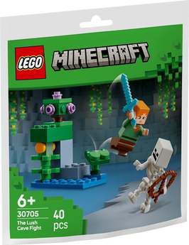 30705 Minecraft duel bij de weelderige grot (paperbag)