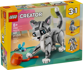 31163  Speelse kat