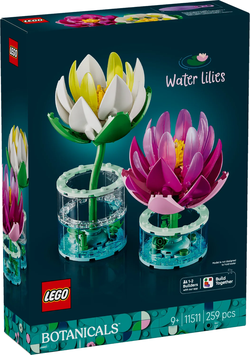 11511  Waterlelies