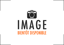 carter d'embrayage daelim daystar vl