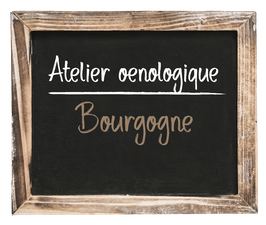 Atelier œnologique "Les Vins de Bourgogne" du Samedi 22 Juillet 2023, 12h-14h