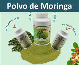 .    POLVO DE MORINGA ECO (3 X 2) OFERTA