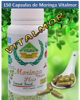 MORINGA ECO VITALMOR / 150 CÁPS.