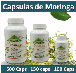 Capsulas de Moringa (Rica en Fibra)