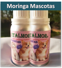 Moringa para Mascotas (Suplemento líquido)