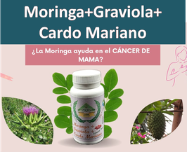 .   Moringa+Graviola+Cardo Mariano (Formula Anticancerígena)