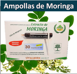 Extracto acuoso de moringa oleífera en ampollas