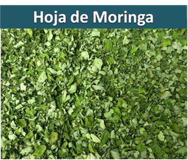 OFERTA Hoja Moringa(400 grs.)