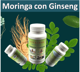 Capsulas de Moringa con Ginseng (Memoria)
