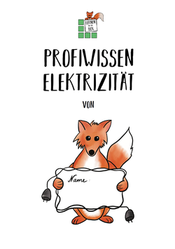 Profiwissen Elektrizität (digital)