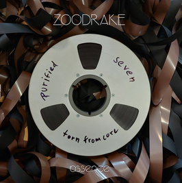 "assence" Vinyl - Song Collection feat. the exclusive track "still"