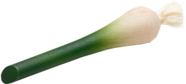 Kevätsipuli