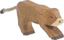 Almkälbchen trinkend