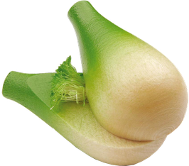 Fenkoli