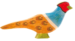 Fasaani