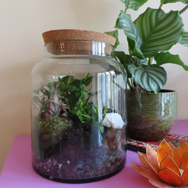 DIY pakket ~ Ecosysteem Vaas recht S+ video tutorial