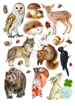 Transfer vel - Dieren 1