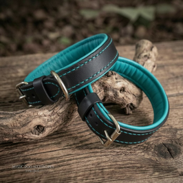 Leder Halsband Classic gepolstert Schwarz - Türkis