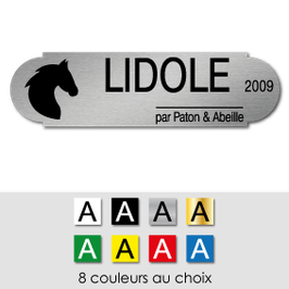 Plaque de box