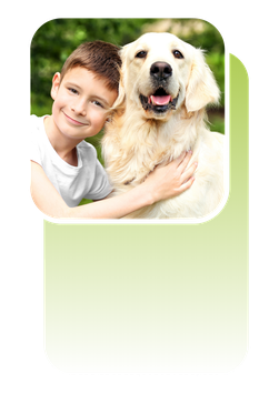 Miteinander wachsen – Tiergestütztes Sozialkompetenztraining