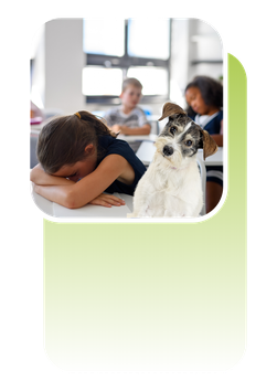 Canine Assisted Focus Training (CAFT) ©
