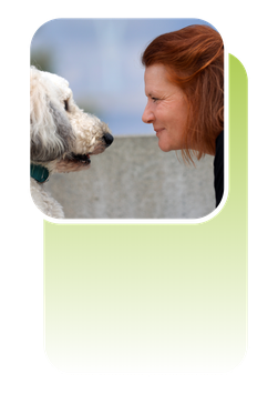 Tierische Perspektiven