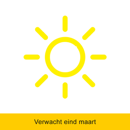 ZWARTE HERENSOKKEN MET GEBORDUURDE ZON - Energie in elke stap